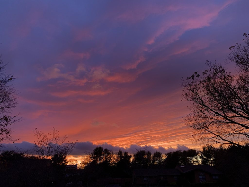 Dramatic pink and purple sunset clouds over bare trees