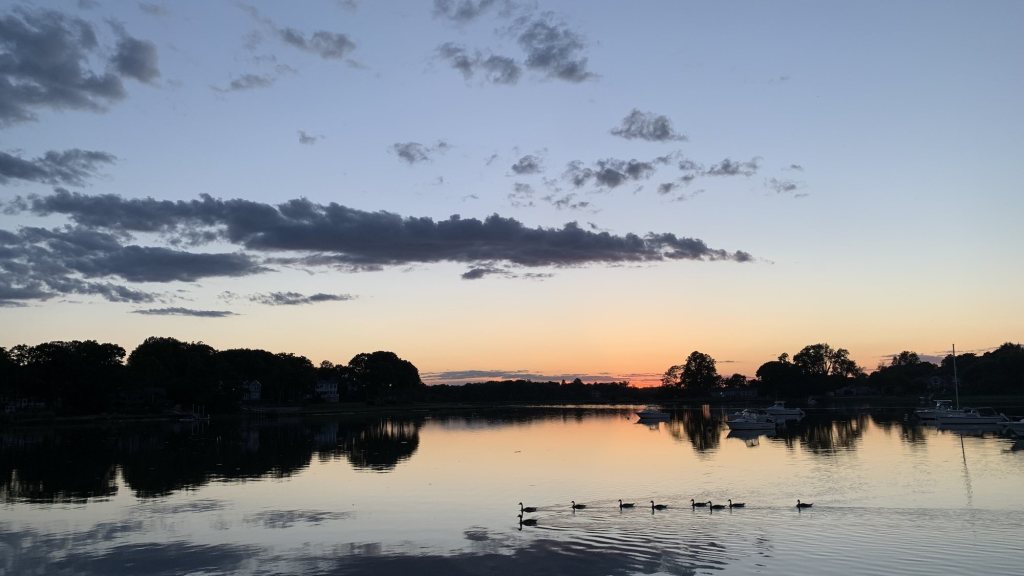 Geese swimming across a still harbor at dusk